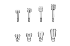 Xive MP Abutment PS