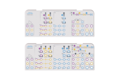 Astra Tech Implant System EV Tray Einsatz – GS