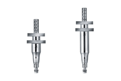 Transfer Ankylos indicizzato