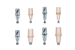 Pilier Ankylos TitaniumBase