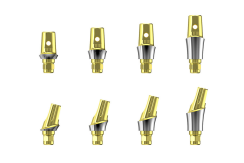 Friadent EstheticBase