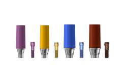 EV Prosthetics-CastDesign EV