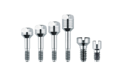 Friadent MP Screw