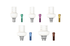 Astra Tech Implant System EV Provisorisches Abutment Design EV