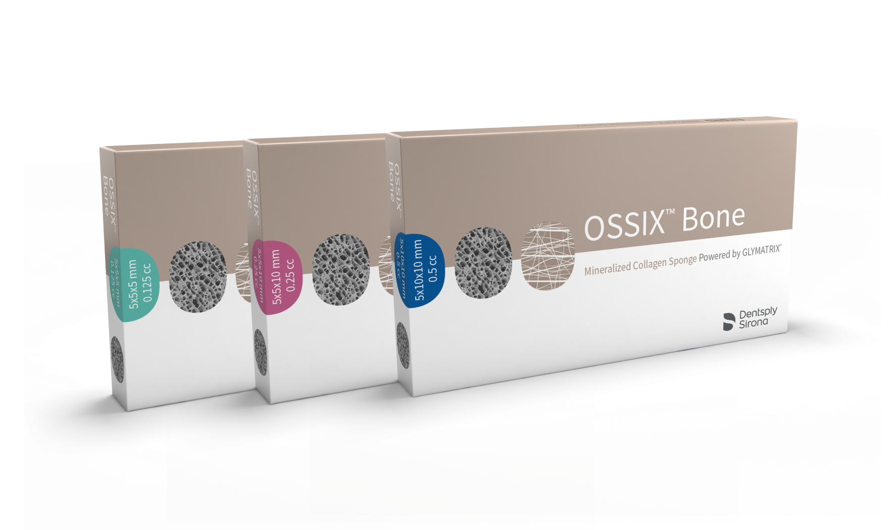 OSSIX Bone
