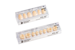 IPN 3D Digital Denture Teeth | Lower Anteriors