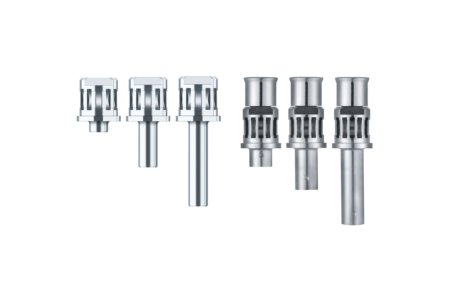 Ankylos Surgical Ratchet Insert