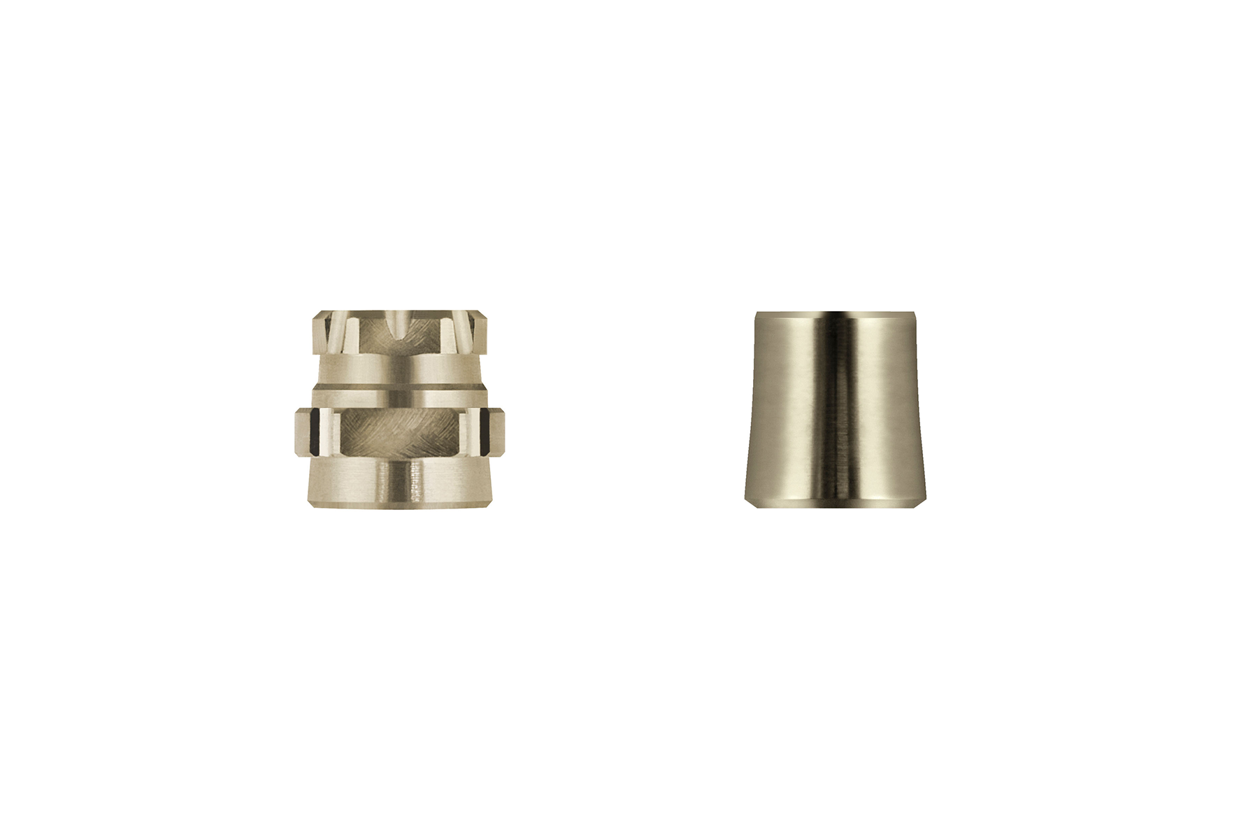 Ankylos Taper Cap SynCone 5°