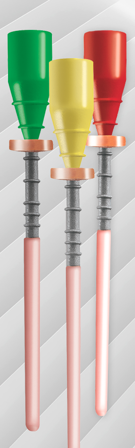 Smiling Dentist with Patient