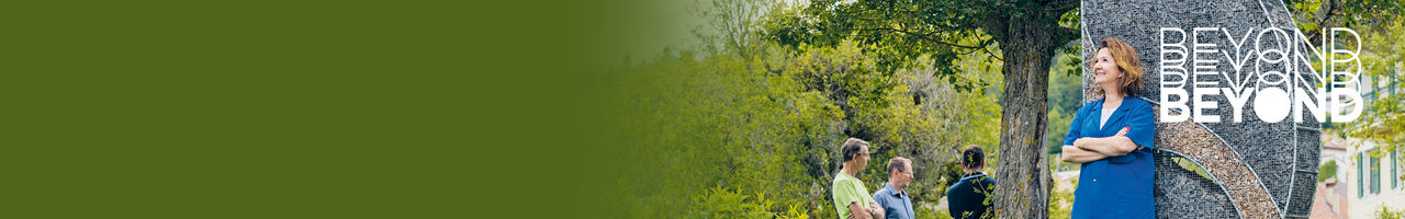 Beyond DS Sustainability Report