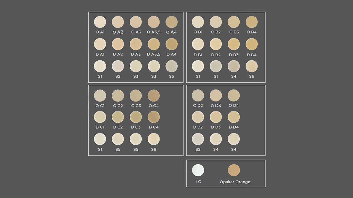 40 shades to reproduce all V-shades with Kiss veneers material