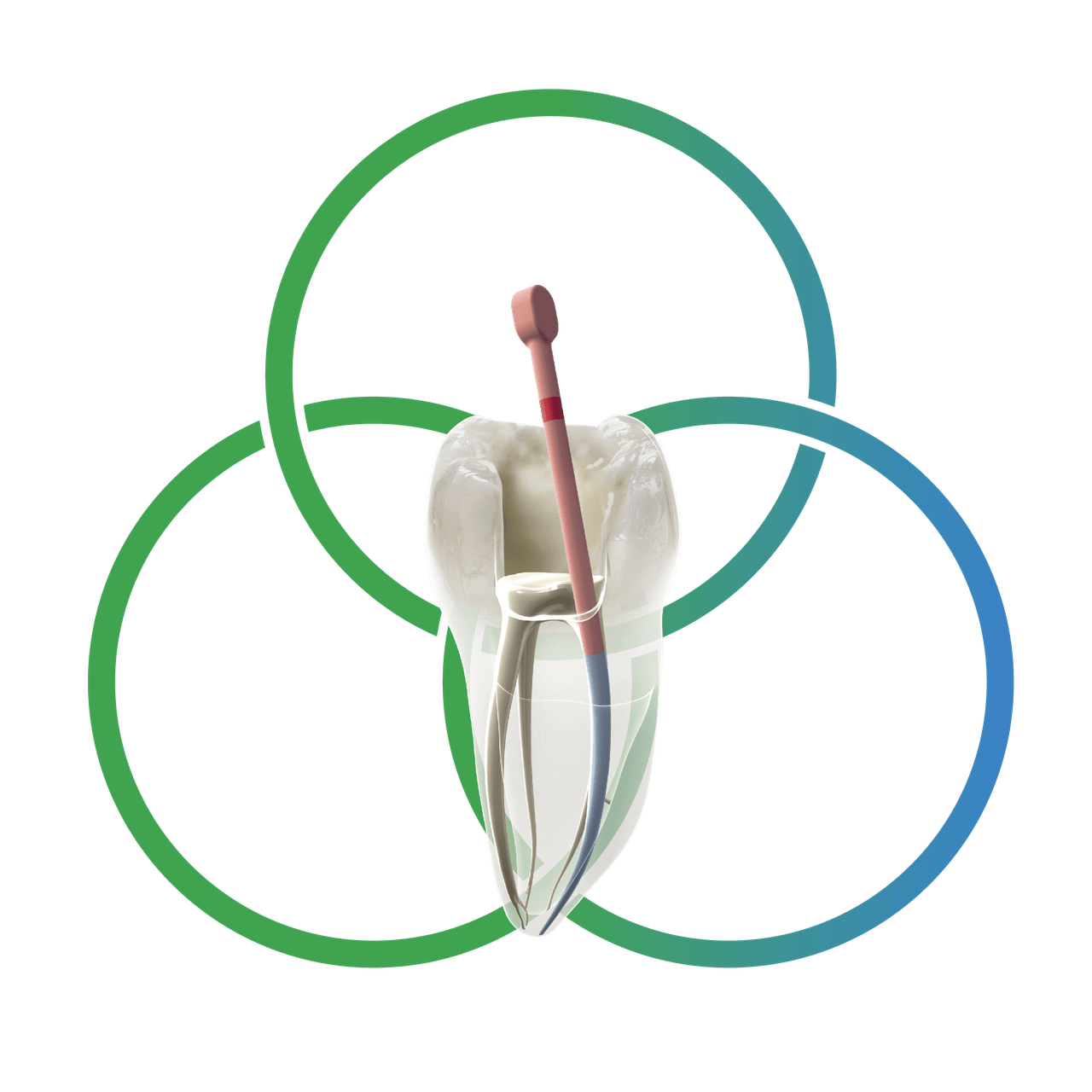 AH Plus Bioceramic Sealer Dentsply Sirona MENA