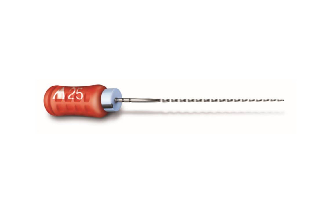Limes Endodontiques K-Files READY STEEL Dentsply Maillefer - Taille 008, 25 Mm - 6 Pièces
