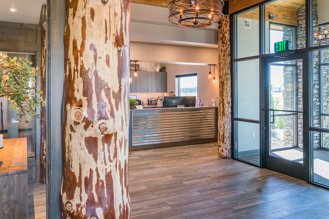 Nature inspired dental office design