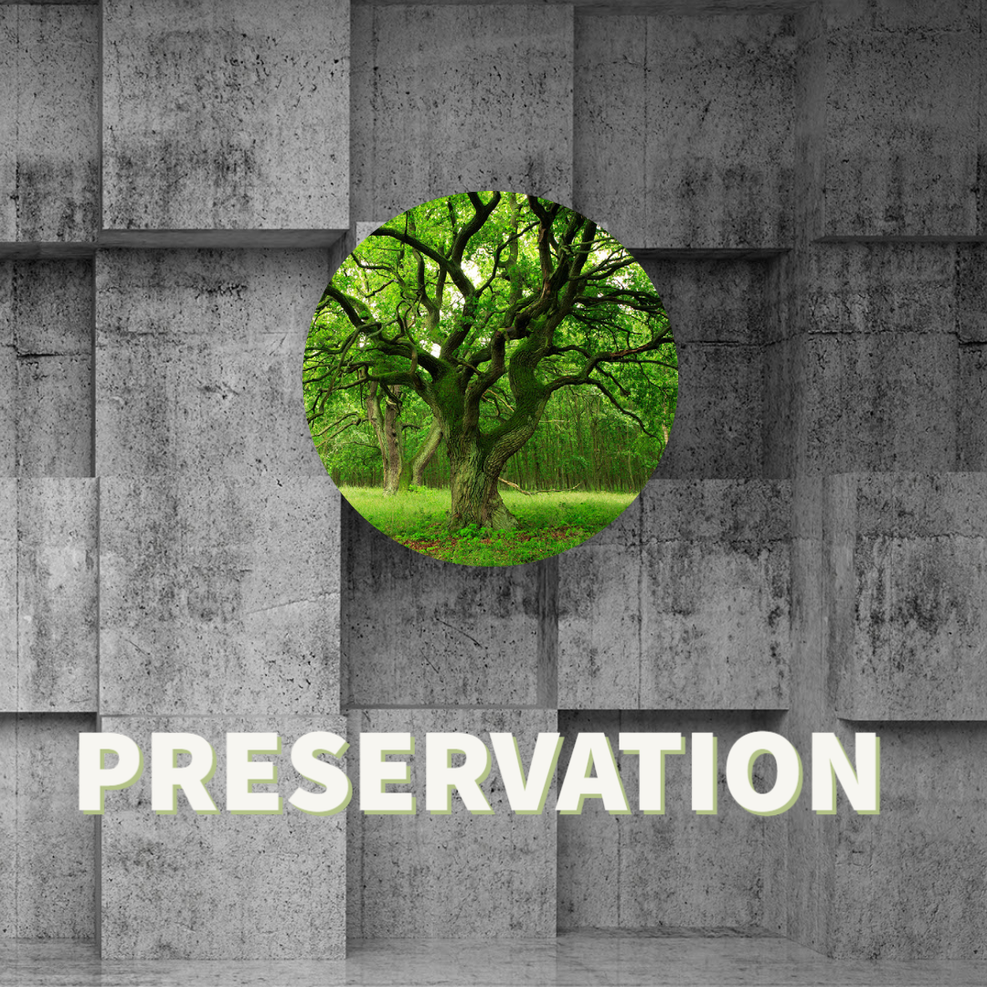 Trunatomy Files Preservation No Lines