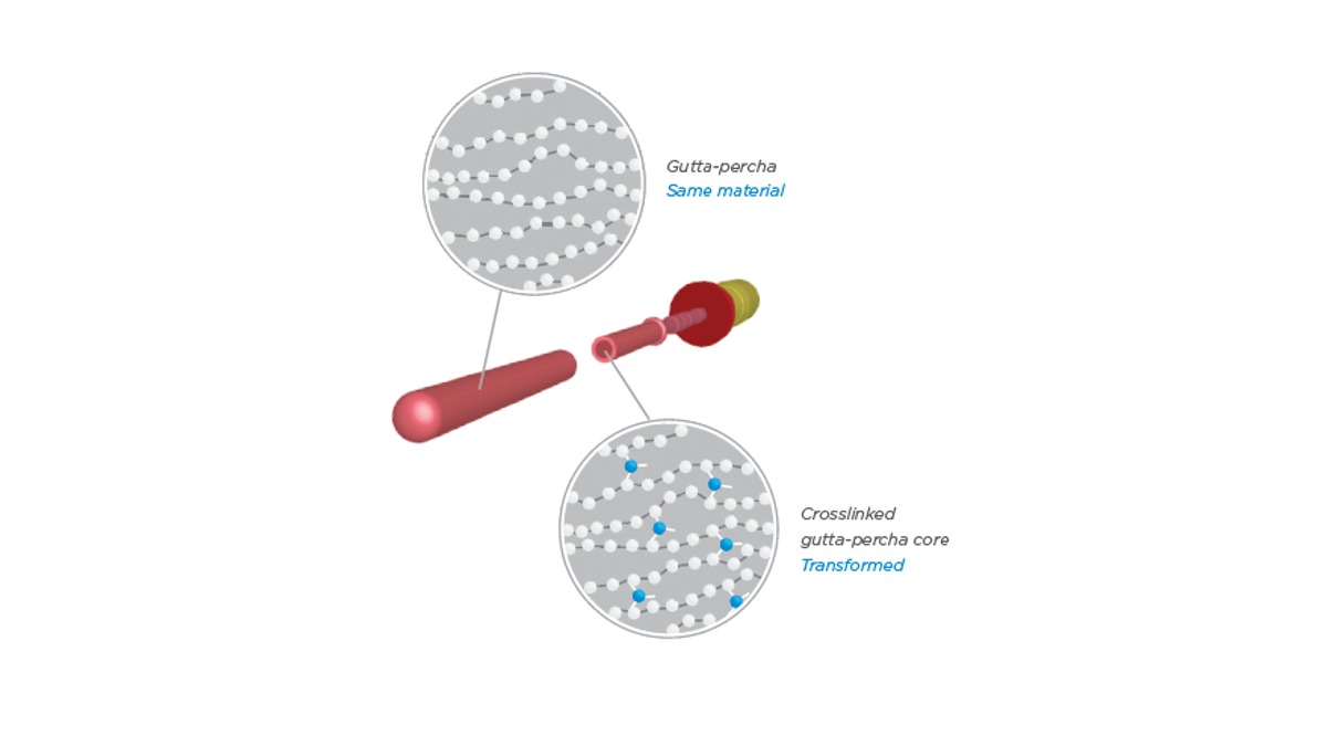 GuttaCore® cross section