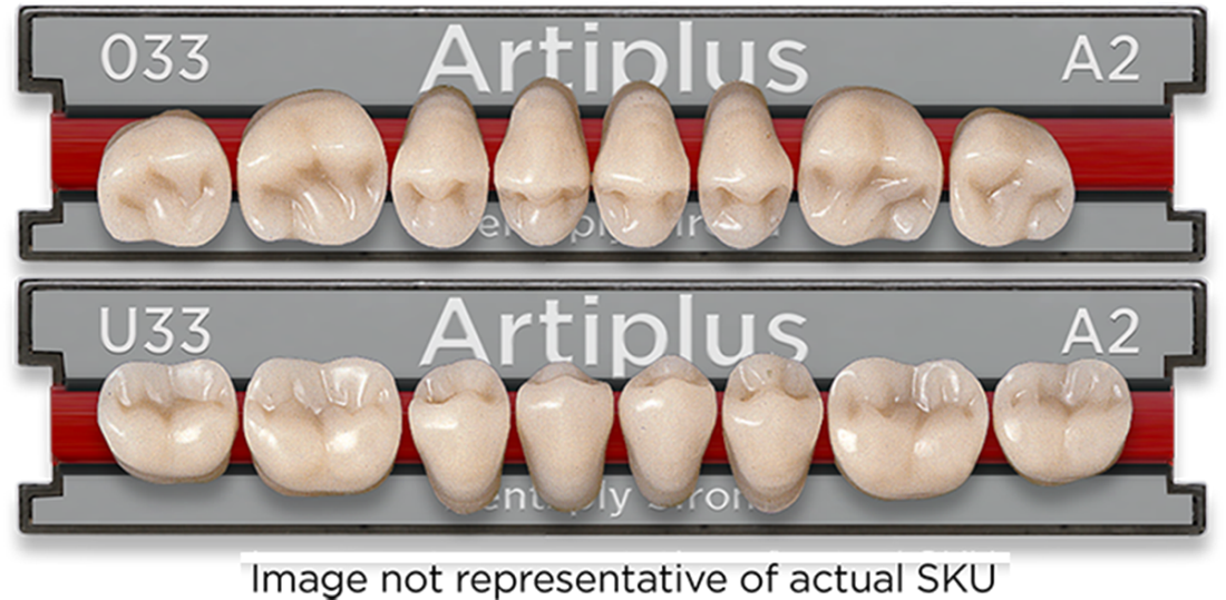 その他 Forelabs denture teeth A2 A2/A3 1Pair Resin Denture False Teeth Dental Training Models Resin