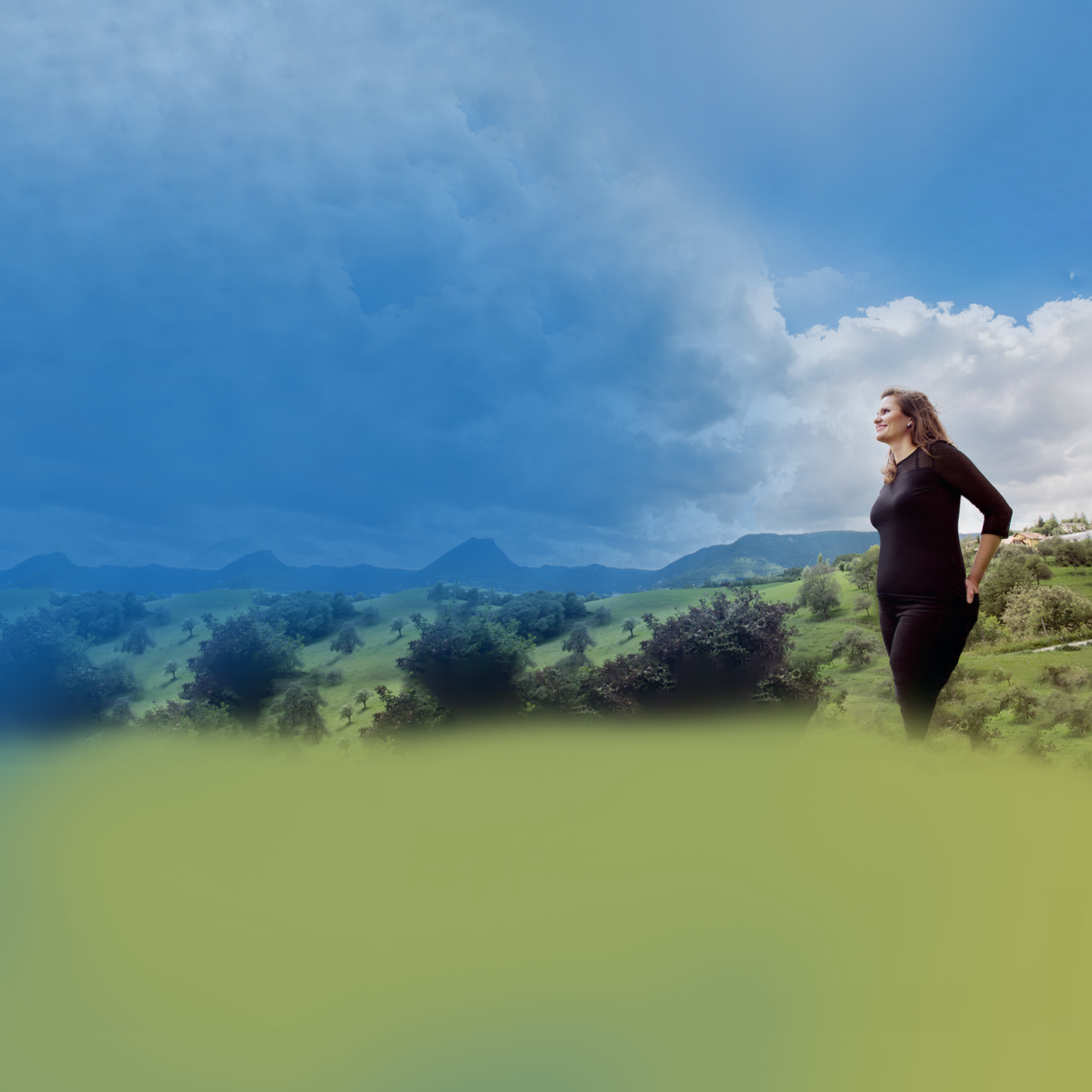 Imagen del héroe de la empresa 1