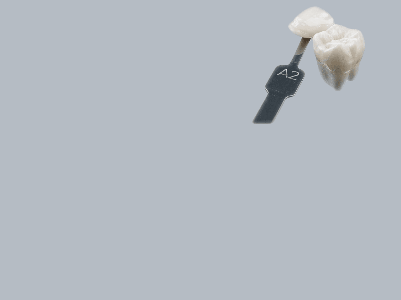 Associationdesteintes