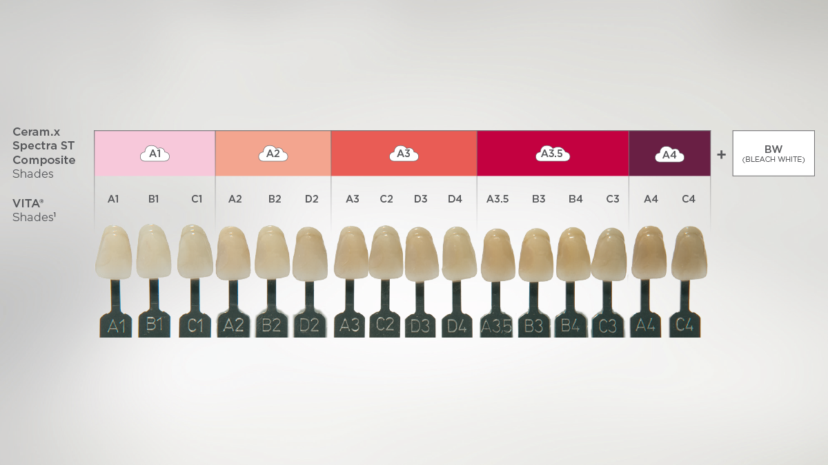 Volledige dekking van het VITA*-assortiment