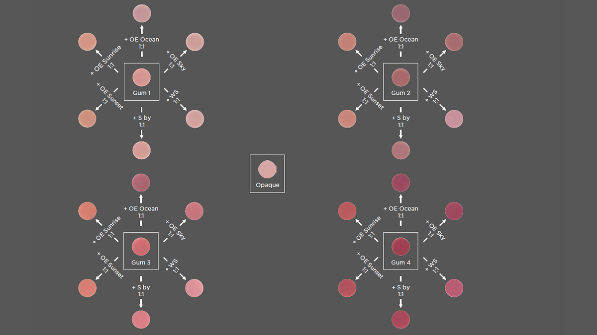 Cztery indywidualne odcieni dziąseł